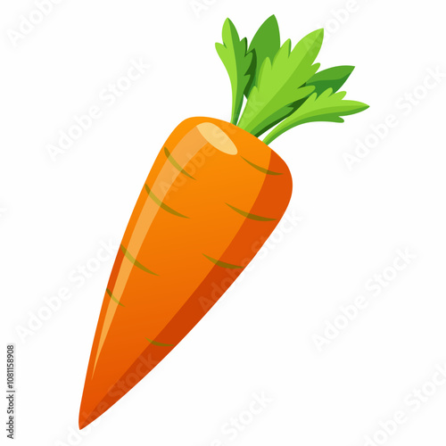 clip art realistic carrots vector illustration