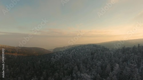 Drone video of winter forest at sunset