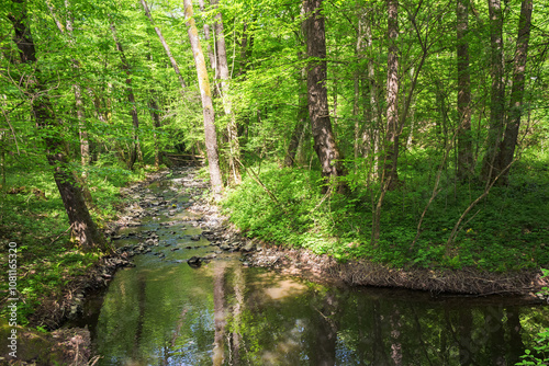 river in the forest. sunny day in spring. view from above