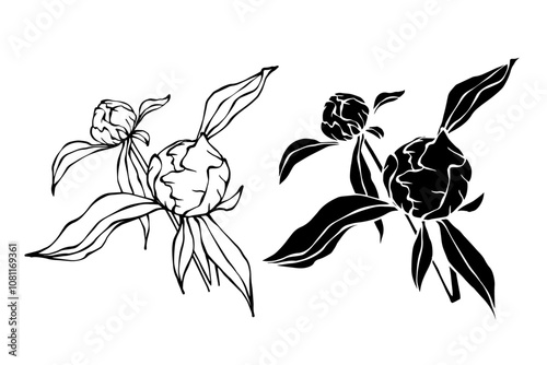 Linear sketch,silhouette,stamp of peony flower.Decorative botanical element.Vector graphics.