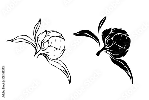 Linear sketch,silhouette,stamp of peony flower.Decorative botanical element.Vector graphics.