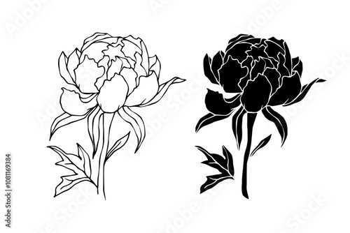 Linear sketch,silhouette,stamp of peony flower.Decorative botanical element.Vector graphics.