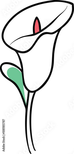 White calla lily with green leaf illustration, Vector illustration of a white calla lily flower featuring a curved petal, yellow spadix, and a single green leaf, outlined in a delicate style.
