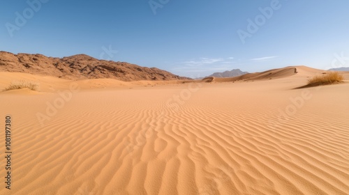 Vast desert landscape with sand dunes and mountains