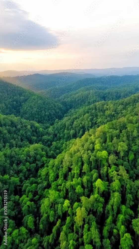 Fototapeta premium Lush green forest landscape under a serene sky at sunset, AI