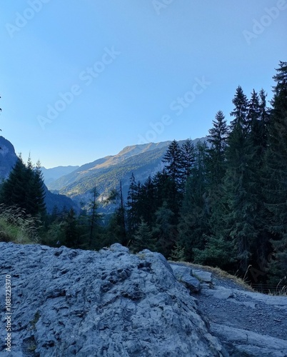 Mountainous forest landscape captured under blue sky