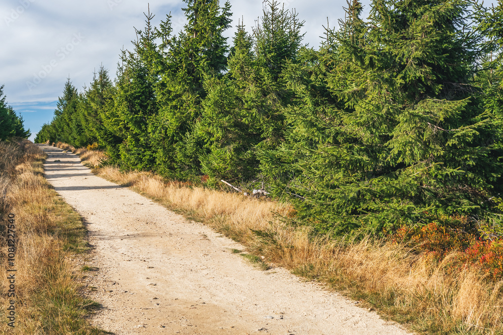 Karkonosze Mountains, Western Sudetes, gravel path on the hiking trail leading to the top of Smrk Mountain. Mountain landscape on a sunny day.