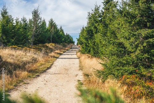 Karkonosze Mountains, Western Sudetes, gravel path on the hiking trail leading to the top of Smrk Mountain. Mountain landscape on a sunny day.