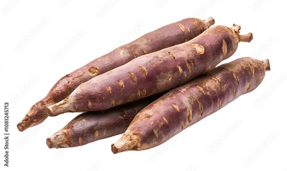 Vivid cassava on a transparent background. isolated background. Vivid cassava on a transparent background. isolated background.