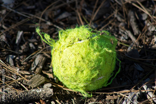 tennis ball that has been chewed up by a dog