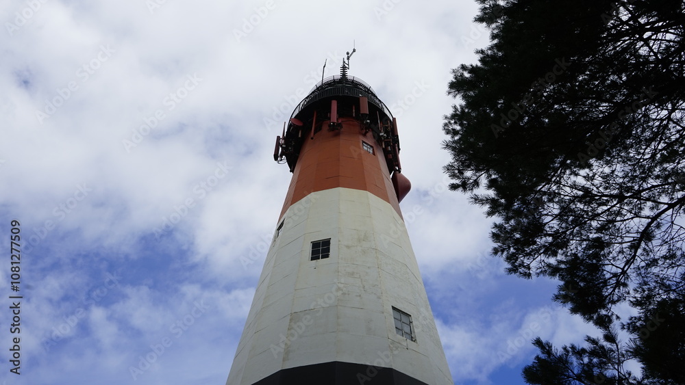 Naklejka premium Lighthouse in the forest by the sea