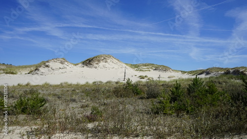 Fototapeta Naklejka Na Ścianę i Meble -  Moving dunes by the sea in Poland
