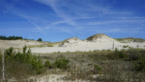 Fototapeta Naklejka Na Ścianę i Meble -  Moving dunes by the sea in Poland
