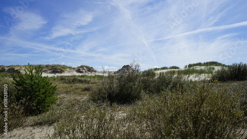 Fototapeta Naklejka Na Ścianę i Meble -  Moving dunes by the sea in Poland
