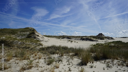 Fototapeta Naklejka Na Ścianę i Meble -  Moving dunes by the sea in Poland

