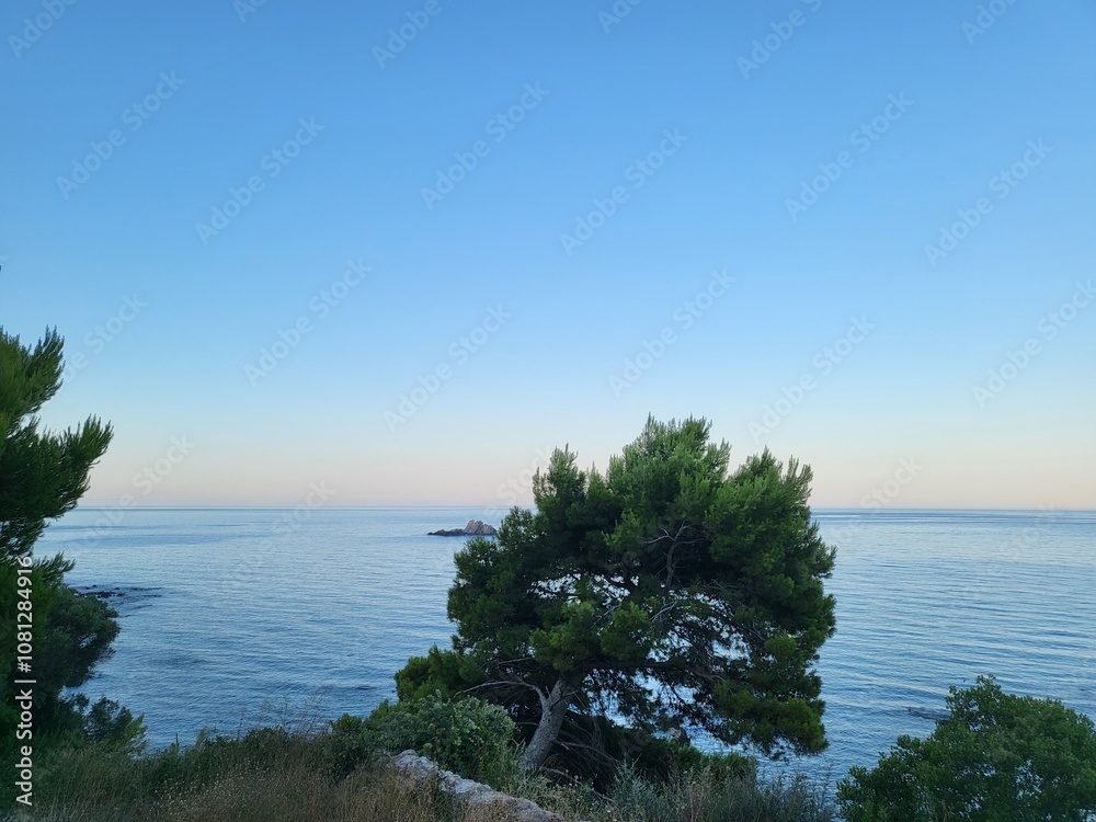 Obraz premium tree and the ocean