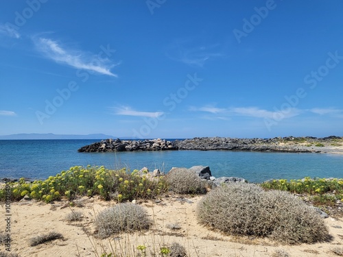 view from the beach