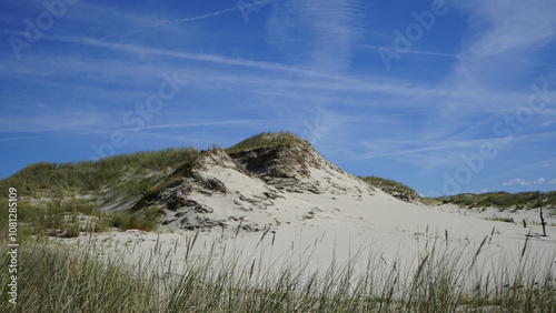 Fototapeta Naklejka Na Ścianę i Meble -  Moving dunes by the sea in Poland
