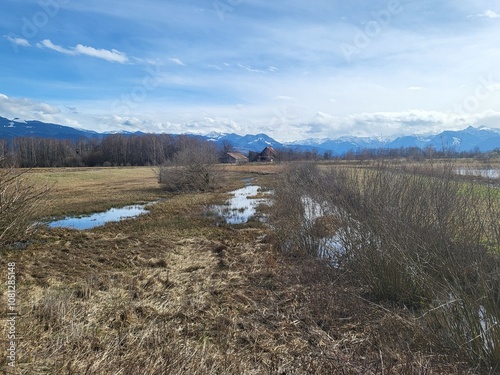 field in the mountains photo