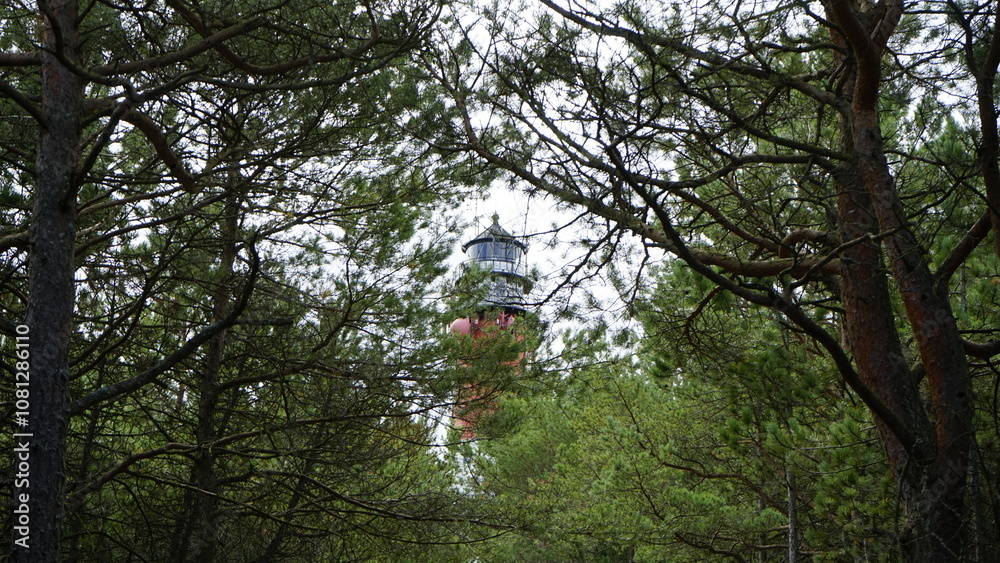 Fototapeta premium Lighthouse in the forest by the sea 