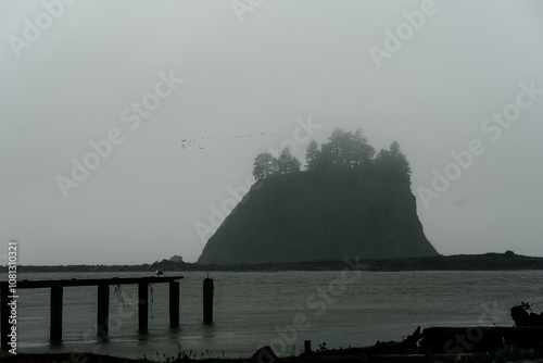 foggy landscape La Push photo