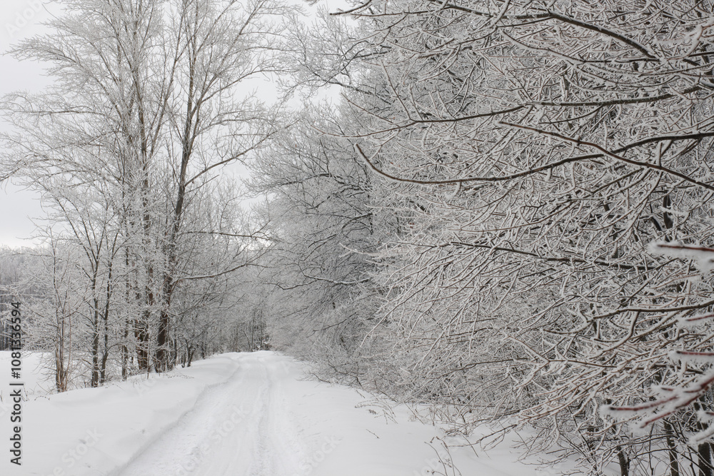 Obraz premium Snow road in forest. Winter landscape