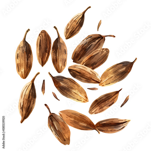 A watercolor vector of a set of cumin seeds, isolated on a white background. Cumin seeds vector.