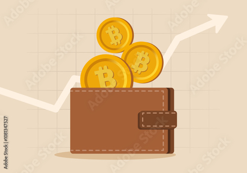 Bitcoin bull run concept, Crypto wallet, Eps 10 vector file