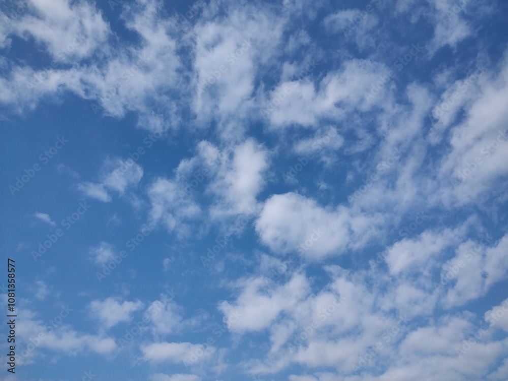 東京のそら(24.11.14)
