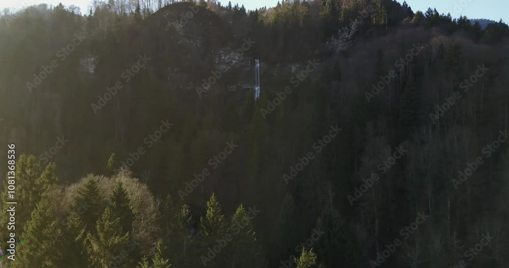 Cascade dans foret montagne