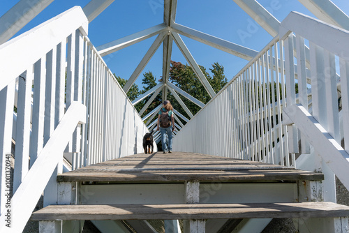 Canvas-taulu A woman and her dog on a footbridge