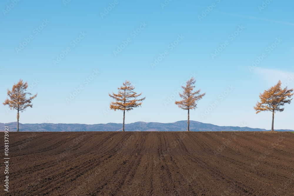 Obraz premium Hokkaido, Japan - November 14, 2024: Hill of Fairy Tale or Meruhen-no-Oka Hill in Hokkaido, Japan