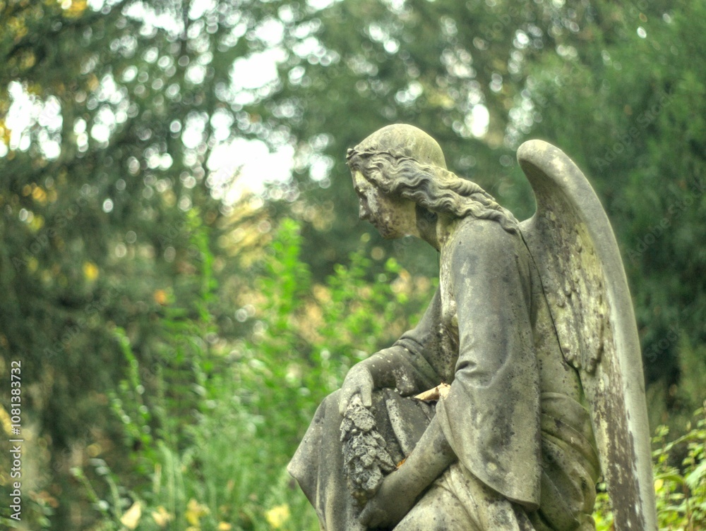 statue of angel statue of angel