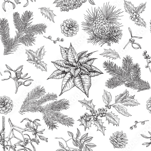 Christmas botanical seamless pattern with fir branches holly mistletoe poinsettia rowan pine cone. Hand drawn Vintage vector background for design package textile wallpaper fabric paper decor new year