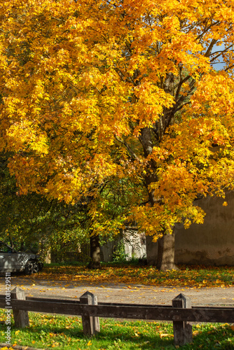 Autumn view of the city, wooden fence. Kuldiga, Latvia. High quality photo photo