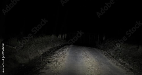 Headlights illuminating a dirt road wind through a dark forest, creating an eerie atmosphere filled with shadows