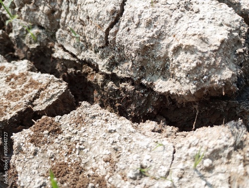 Cracked soil during the dry season photo