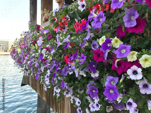 The Chapel Bridge in a Summer day