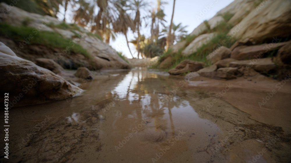 Fototapeta premium Small stream in Oasis - low shot