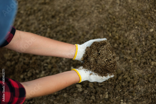 Foto Dried and crushed manure in the hands of a farmer