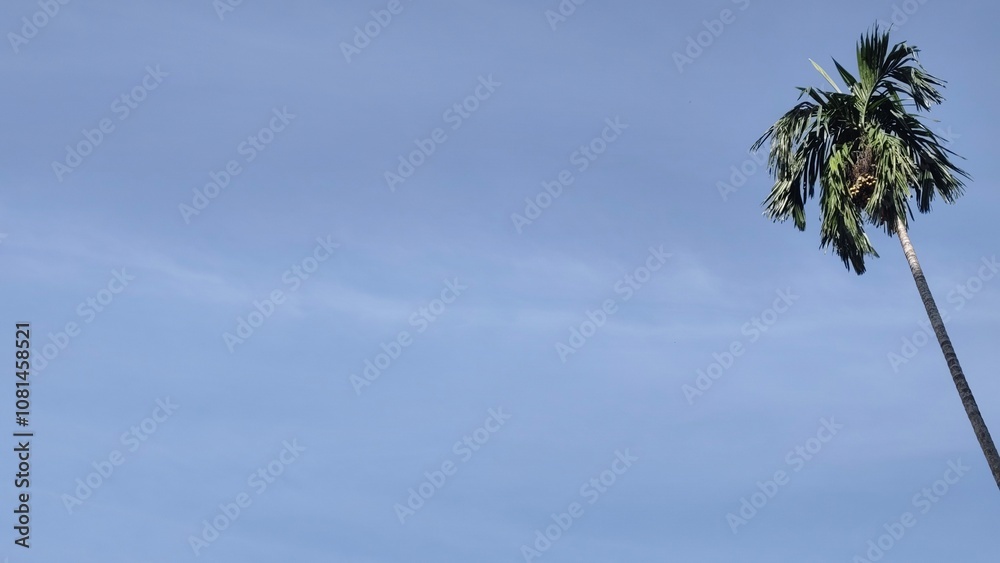 Obraz premium Single tall palm tree stands against a bright blue sky, evoking tropical and peaceful vibes