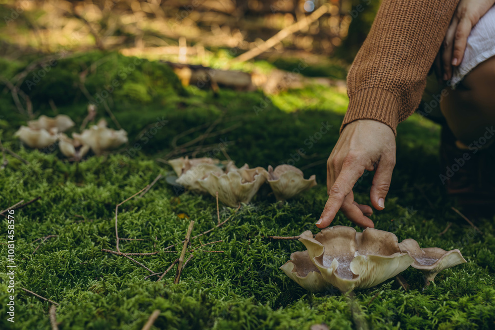 Female hand reaching for mushrooms on the ground covered in green moss. Mycelium packaging Female hand reaching for mushrooms on the ground covered in green moss. Mycelium packaging