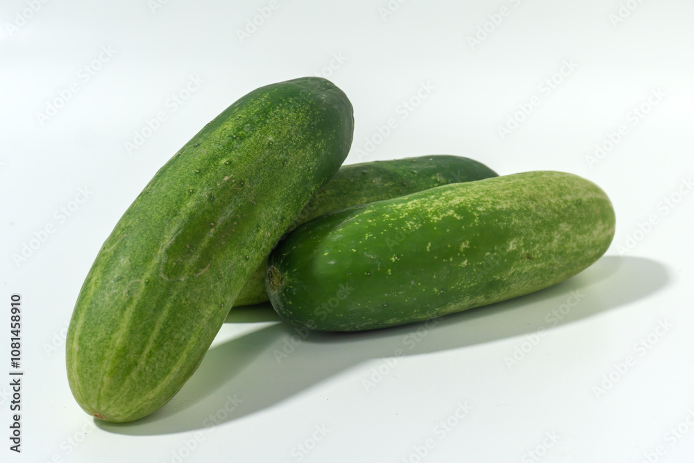 Green cucumber isolated on white background. Green cucumbers texture template arranged and harvested Green cucumber isolated on white background. Green cucumbers texture template arranged and harvested
