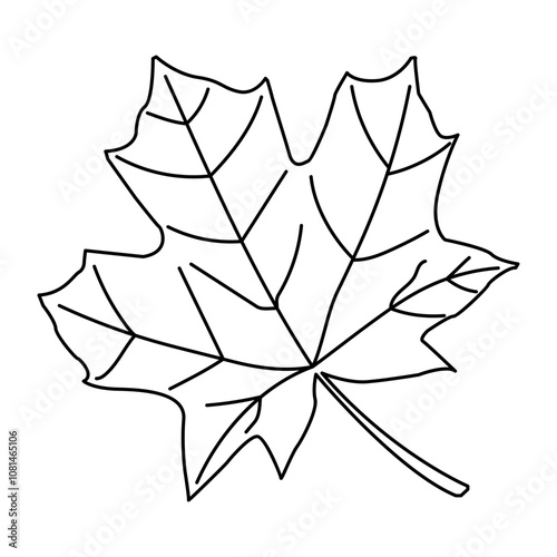 Autumn, Happy Thanksgiving Day, Fall, Harvest