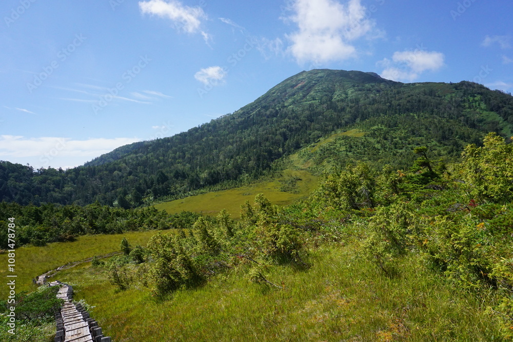 Naklejka premium 燧ヶ岳の木道