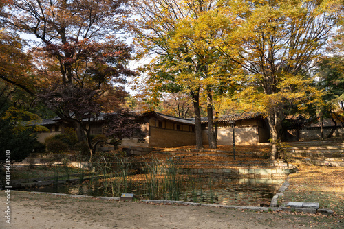 old house in autumn