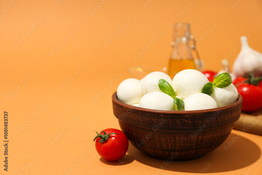 Mozzarella cheese, concept of tasty and delicious dairy products