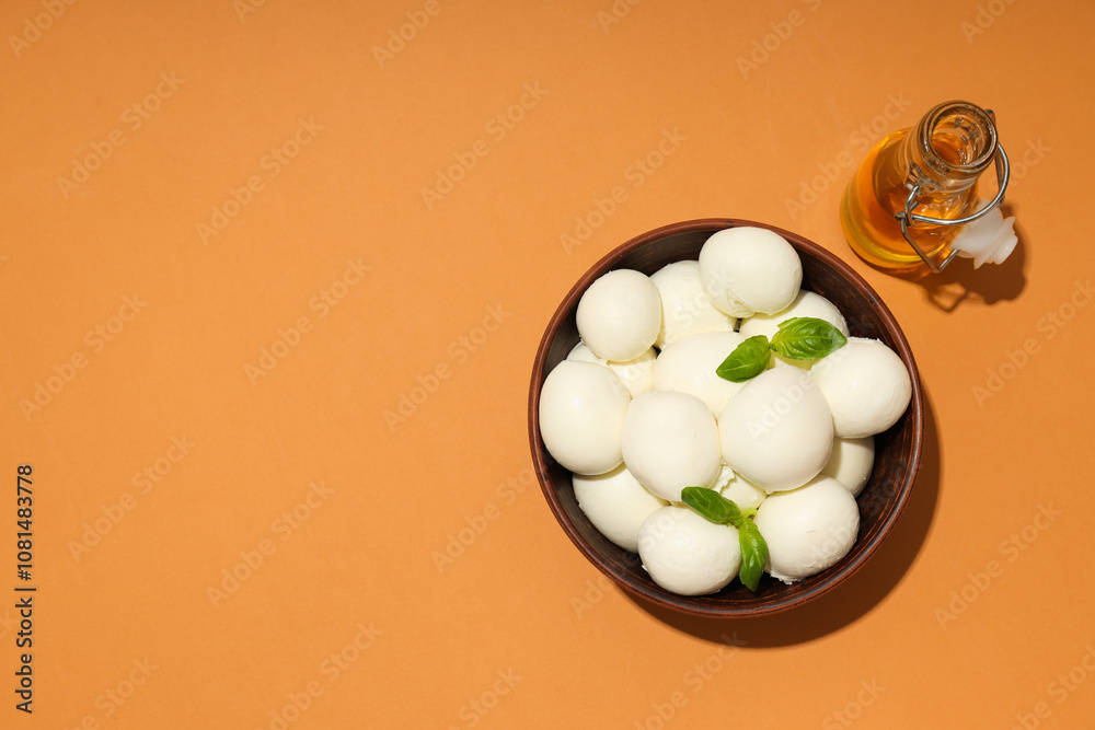 Mozzarella cheese, concept of tasty dairy products Mozzarella cheese, concept of tasty dairy products