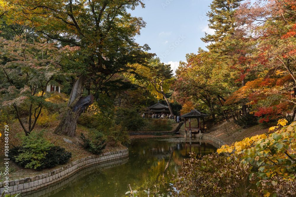 The beautiful scenery of Changdeokgung Palace in Seoul in autumn The beautiful scenery of Changdeokgung Palace in Seoul in autumn