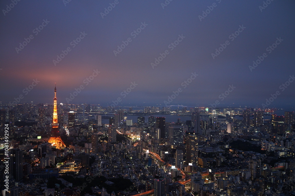 Obraz premium 臨海都市の夜景